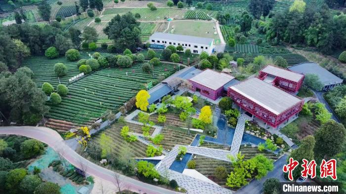 腾讯分分彩：林间“种”出科创空间：四川蒲江用生态颜值撬动经济价值